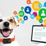 Cómo influir en las opiniones de tus seguidores sobre los animales