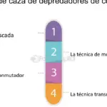 Conductas de caza en reptiles: ¡El mundo de los depredadores!