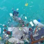 Contaminación del agua: impacto y responsabilidad