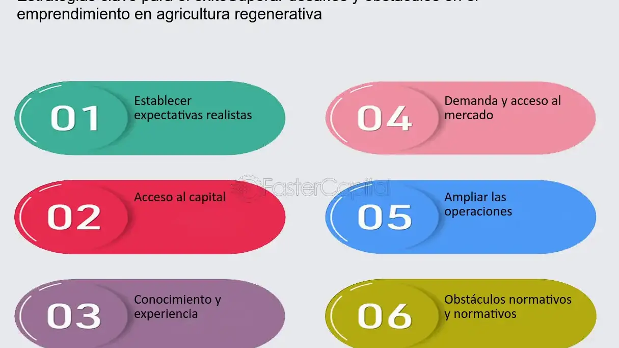 El emprendimiento en la agricultura: claves para el éxito - Mercadillo5 El emprendimiento en la agricultura: claves para el éxito - Mercadillo5