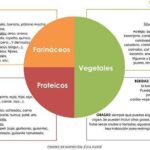 Guía completa: Adaptar consumo diario vegano para metas de salud