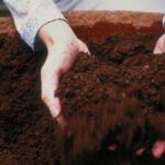 Guía de Compostaje para Jardinería y Agricultura: ¡Aprovecha tu compost!