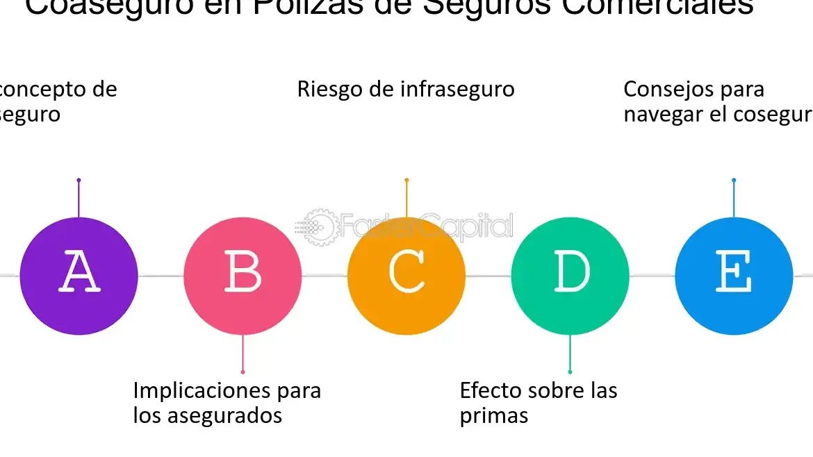 Impacto del coaseguro en tus beneficios de seguro de vida - Mercadillo5 Impacto del coaseguro en tus beneficios de seguro de vida - Mercadillo5
