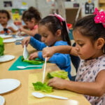 Promueve la salud de tu hijo/a con la educación temprana