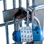 Transportadores y jaulas para viajes de electrodomésticos: opción segura